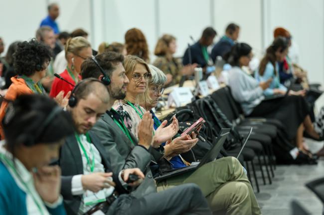 Plenary