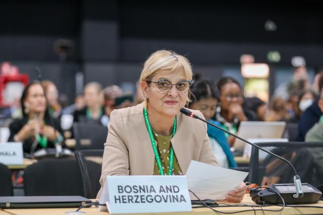 Senka Barudanovic, Bosnia and Herzegovina