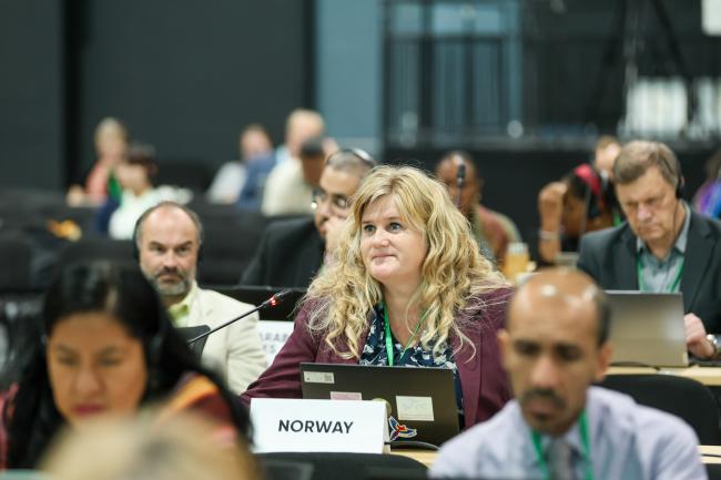 Anne Martinussen, Norway