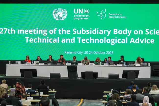 View of the dais during the morning plenary