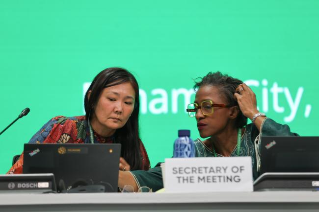 Monica Kobayashi, CBD Secretariat, and SBSTTA 27 Secretary Sakhile Silitshena