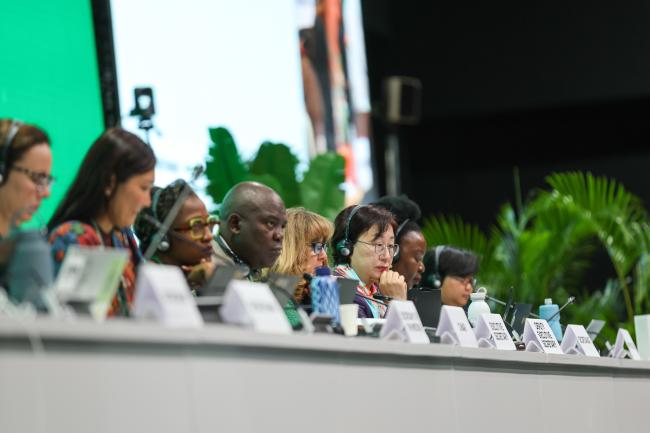 CBD Deputy Executive Secretary Jihyun Lee