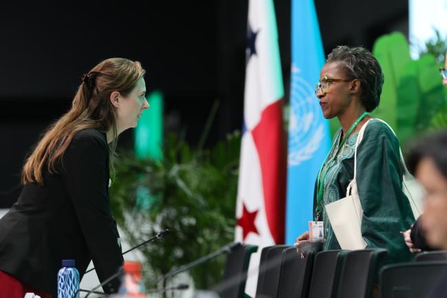 Sanne Kruid, the Netherlands, and SBSTTA 27 Secretary Sakhile Silitshena