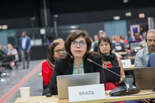 Taisa Passoni Marçal, Brazil