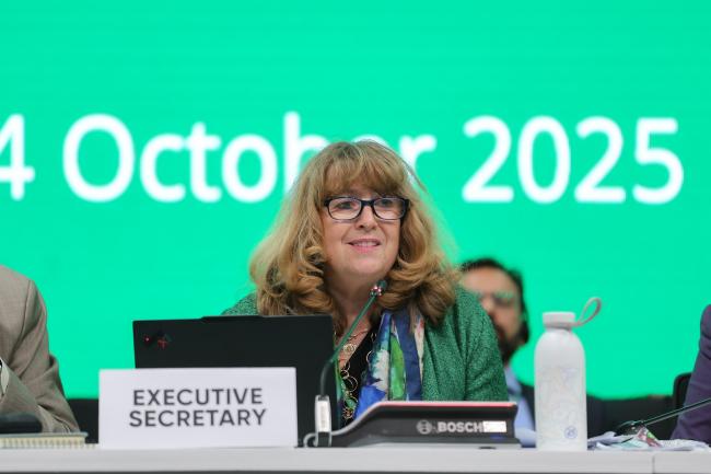 CBD Executive Secretary Astrid Schomaker