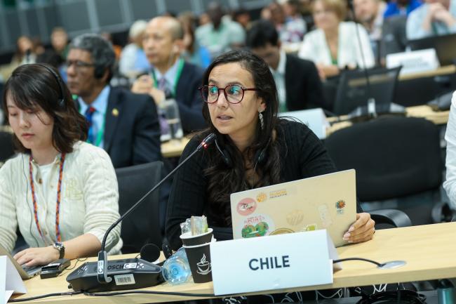 Paulia Stowhas, Chile