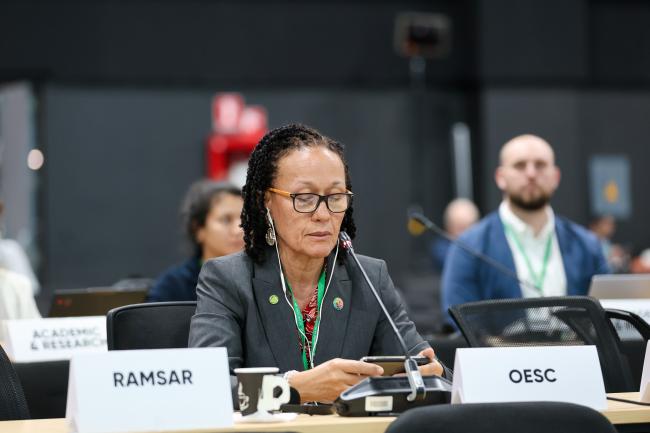 Helena Jeffery Brown, Organisation of Eastern Caribbean States