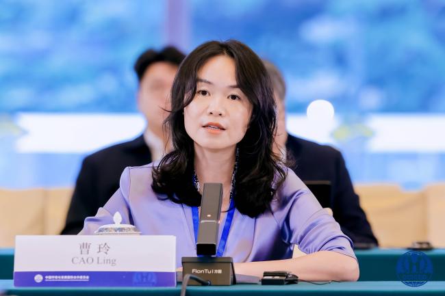 Cao Ling, Nanqiang Distinguished Professor, Xiamen University_cciced2025_16Okt25