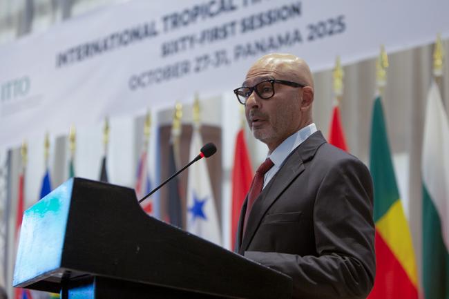 Carlos Espinosa Peña, Chairperson of the International Tropical Timber Council, ITTC - ITTC61 - 27Oct2026