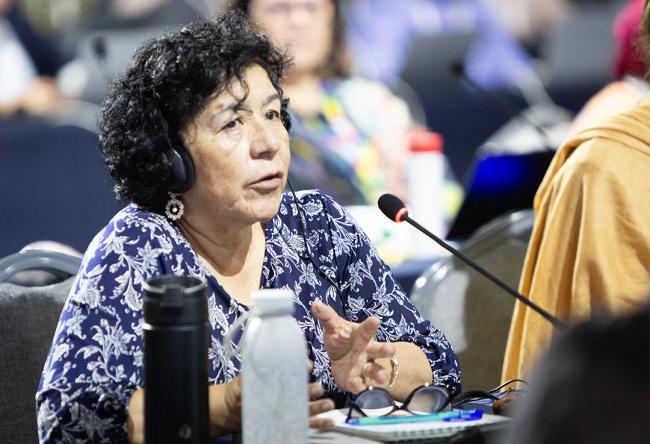 Carmela Landeo Sánchez, Patronato de la Reserva Paisajistica Nor Yauyos Cochas, Peru - IUCN-World Conservation Congress 2025- 132Oct2025