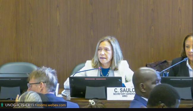 Celeste Saulo, Secretary-General, WMO