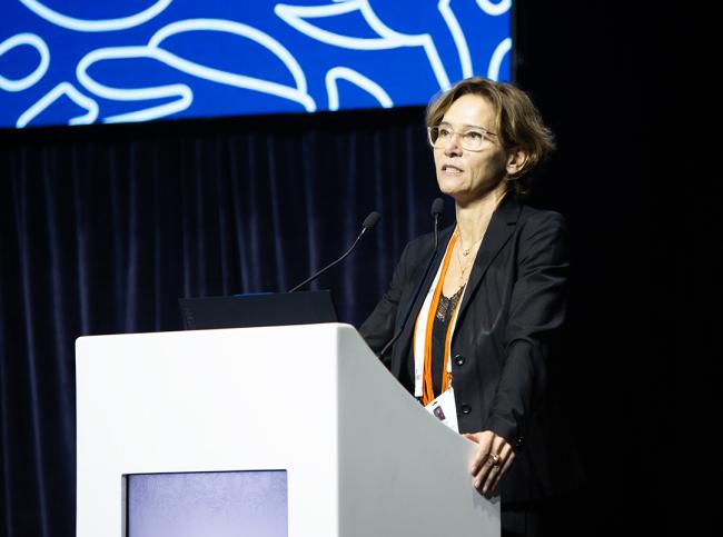 Christina Voigt, University of Oslo - IUCN and International Courts - IUCN-World Conservation Congress 2025- 11Oct2025