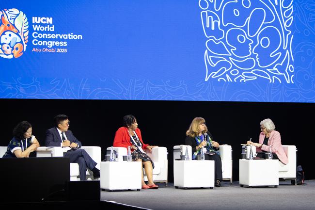 Transformational change from Rio and beyond - IUCN-World Conservation Congress 2025- 12Oct2025