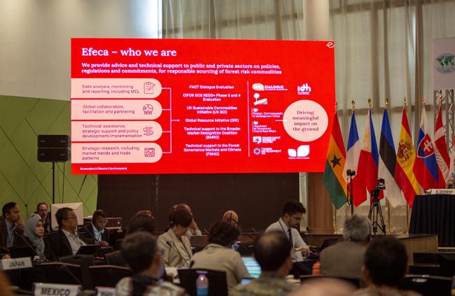 EFECA - ITTC61 - 28Oct2025