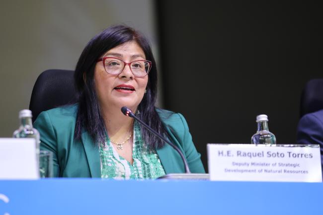 Raquel Hilianova Soto Torres, Deputy Minister, Strategic Development of Natural Resources, Ministry of Environment, Peru  