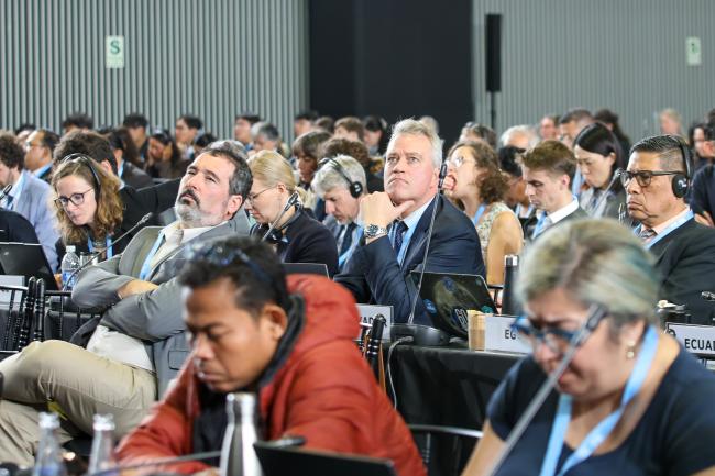Delegates listen to the WGs' presentations.