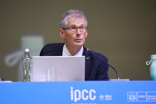 Bart van den Hurk, WG II Co-Chair