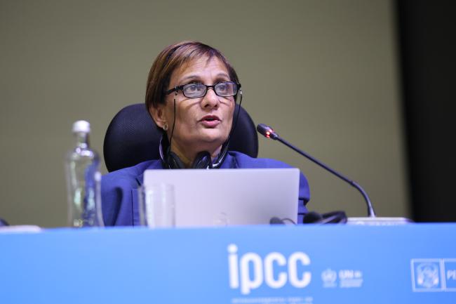 Joy Jacqueline Pereira, WG III Co-Chair 