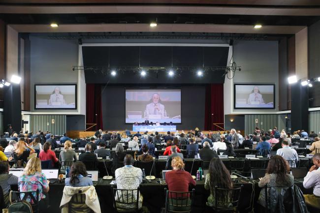 View of the plenary room