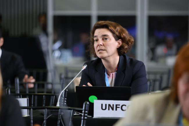 Annett Moehner, UNFCCC Secretariat 