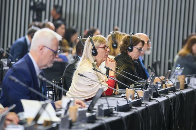 IPCC Vice-Chair Diana Ürge-Vorsatz