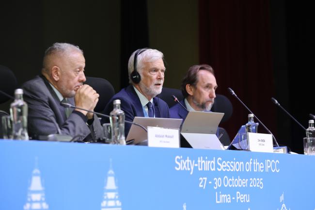 A view of the dais