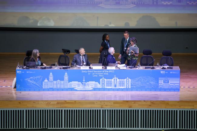A view of the dais 