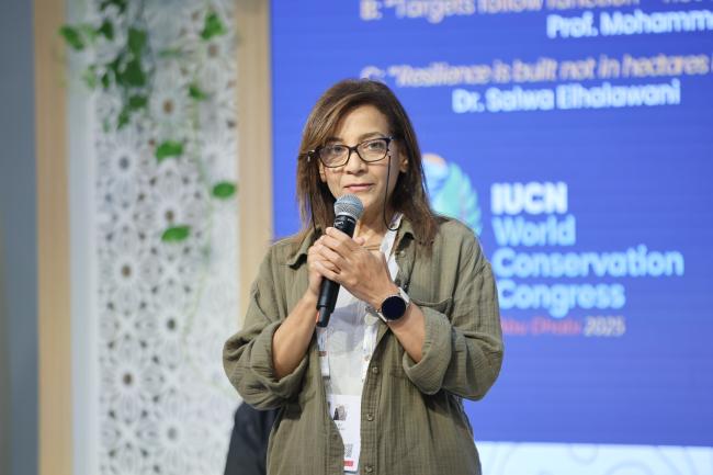 Salwa Elhawalani, BirdLife International 