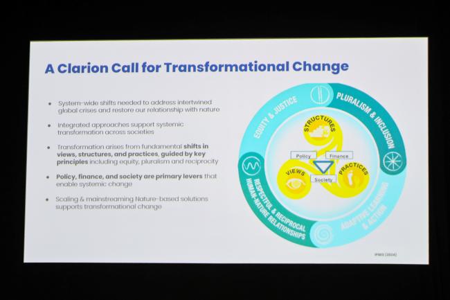A slide from Stewart Magginis's presentation 