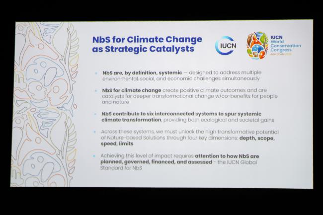A slide from Stewart Magginis's presentation