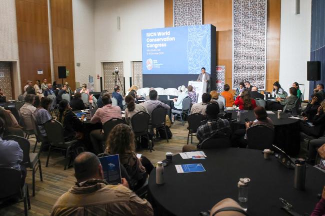 View of the room during the event on BBNJ 