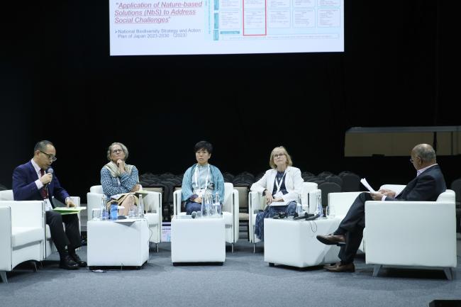 View of the panel 