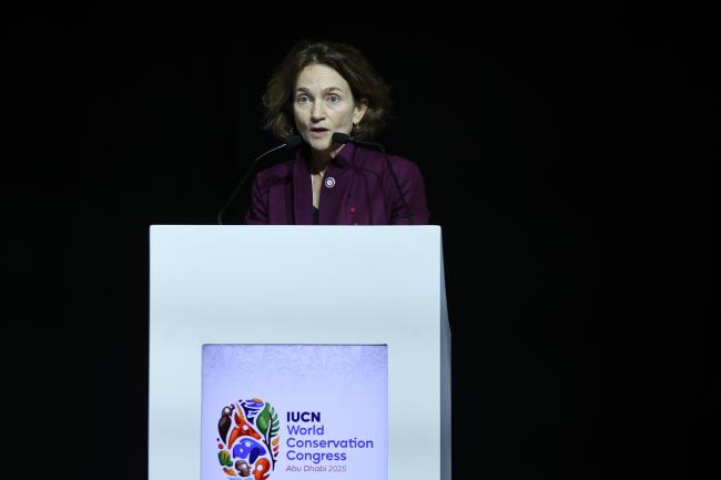 Marie Bjornson-Langen, Deputy Executive Director for Sustainable Development Solutions at AFD
