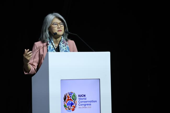 Yoko Watanabe, Director, Environment, Asian Development Bank 