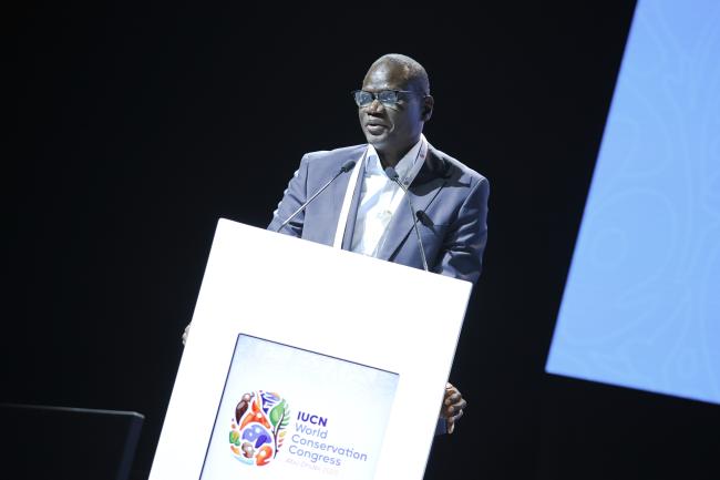 El Hadji Abdourahmane Diouf, Minister of Environment and Ecological Transition, Senegal