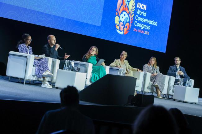 View of the panel during HLD on Ocean 