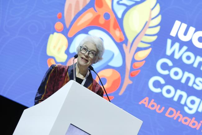 Kristina Gjerde, Senior High Seas Advisor, IUCN World Commission on Environmental Law 2021-2025 
