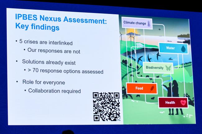 A slide from Paula Harrison's presentation
