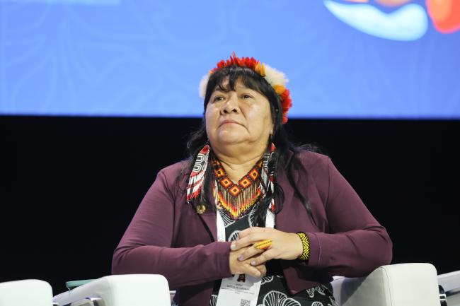 Joênia Wapichana, President, National Foundation of Indigenous Peoples 