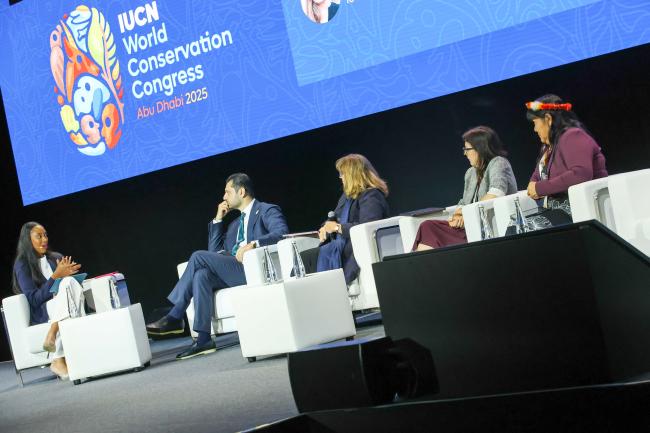 A view of the panel during the HLD on One Health 