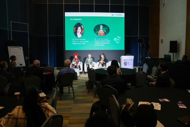 View of the room during the event "Triggering change in education for sustainable agriculture systems - a call to action!"