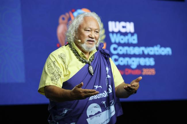 Solomon “Uncle Sol” Kaho‘ohalahala, Greenpeace International 