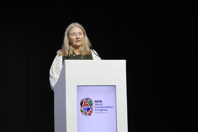 Susan Pedersen 