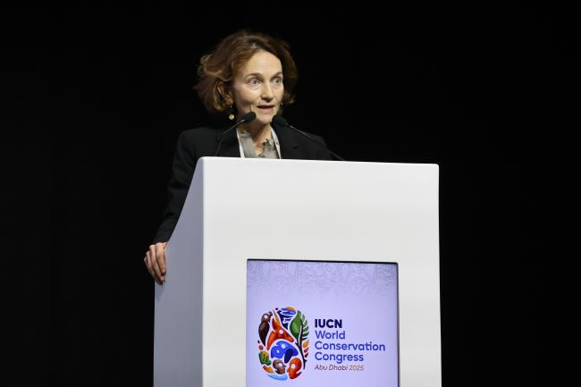 Marie Bjornson-Langen, Deputy Executive Director, Sustainable Development Solutions, AFD