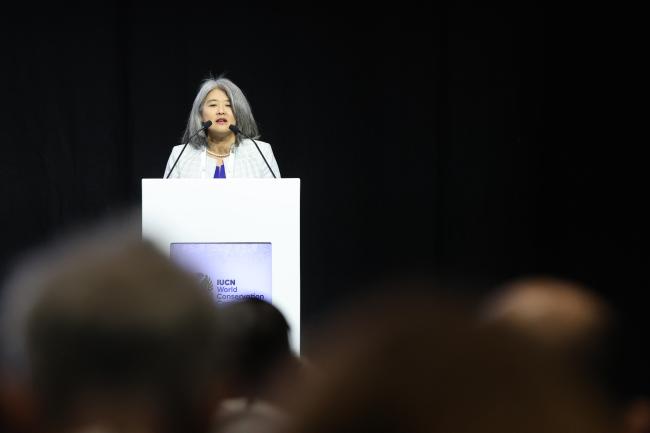 Yoko Watanabe, Director, Environment, Asian Development Bank