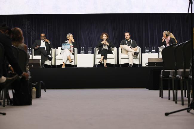 View of the panel during the HLD on NbS