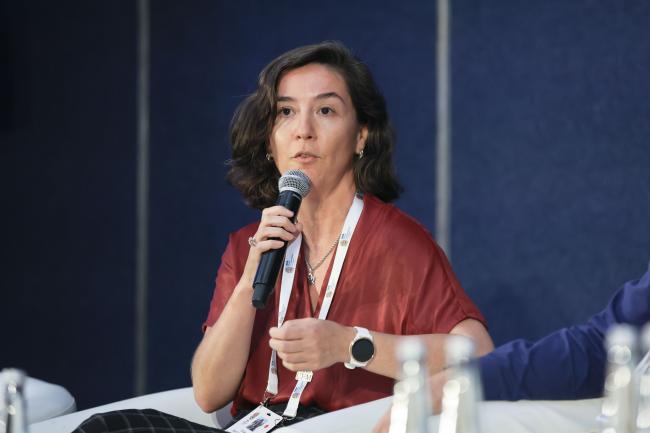  Tatiana Lobato de Magalhães, Autonomous University of Querétaro