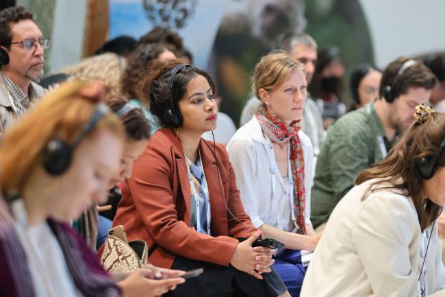 Participants