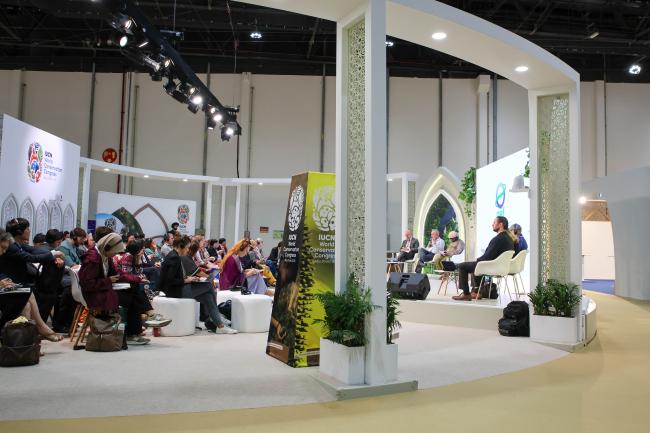 View of the room 