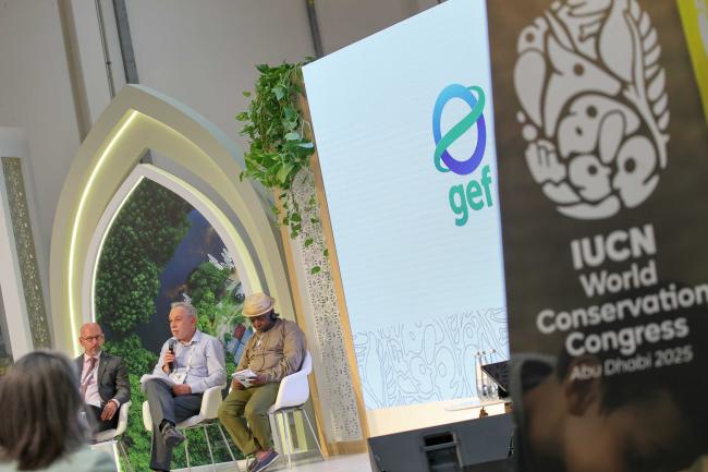 View of the panel GBF 